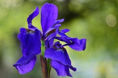 手～のひらを太陽に～♫♪♬