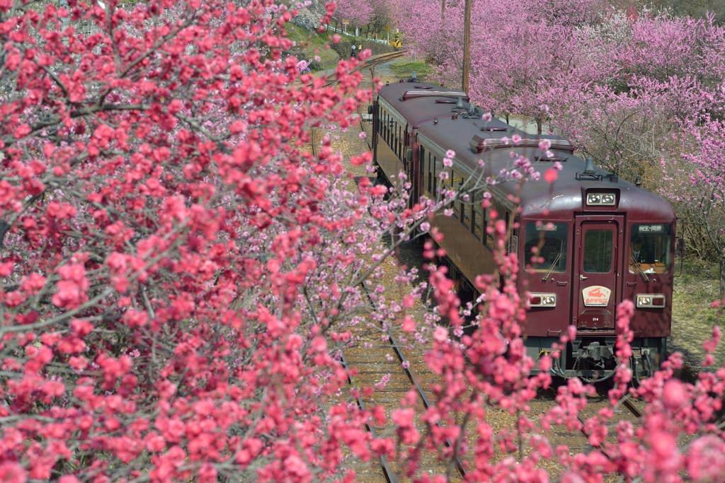 神戸駅の激戦区