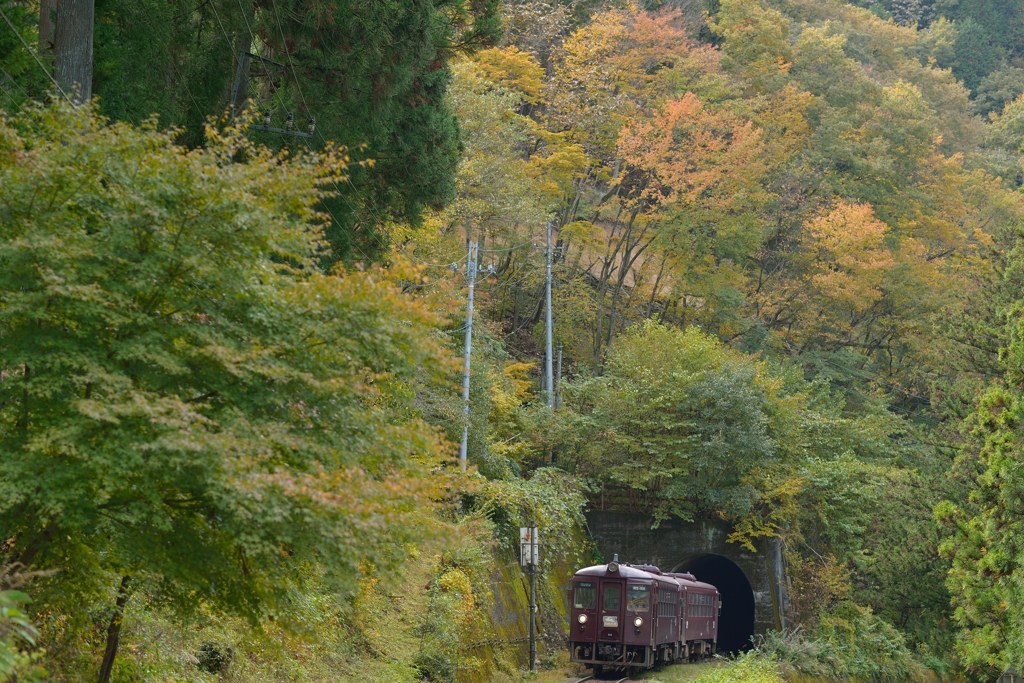 紅葉が始まりました。