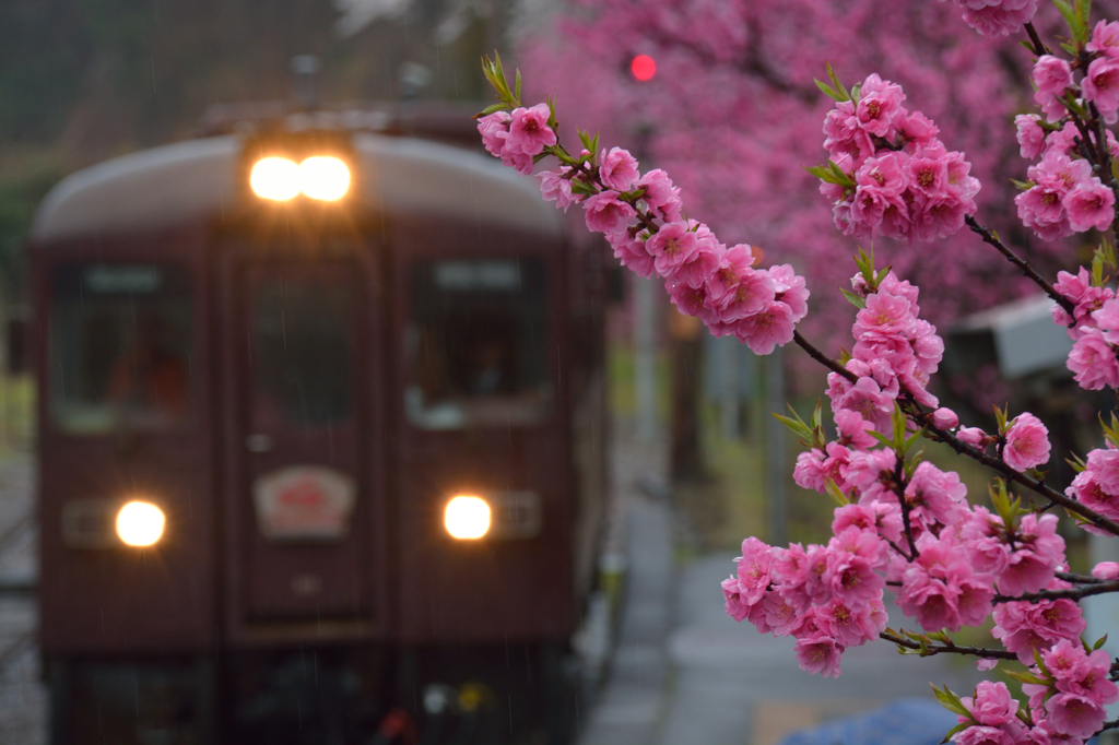 雨降る週末