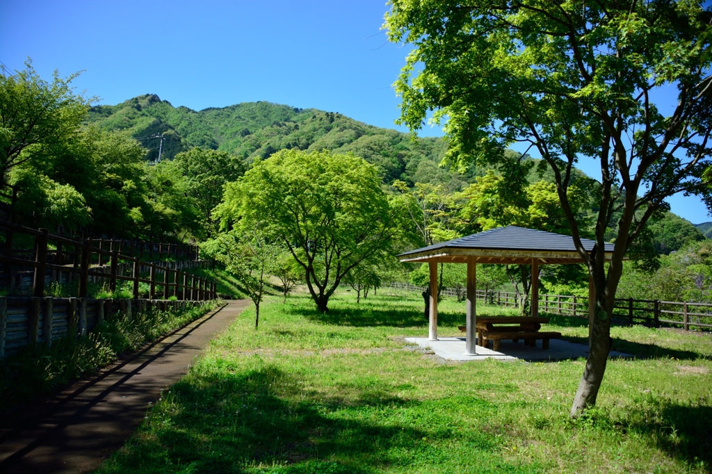 緑の楽園