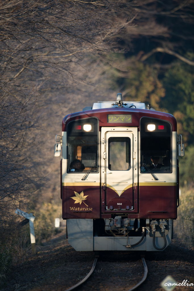 新春を駆ける　-2-