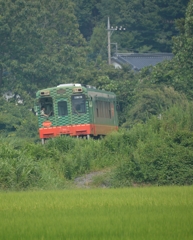 スイカ君に乗ってるスイカ君(゜o゜)