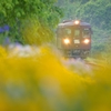 花香る駅