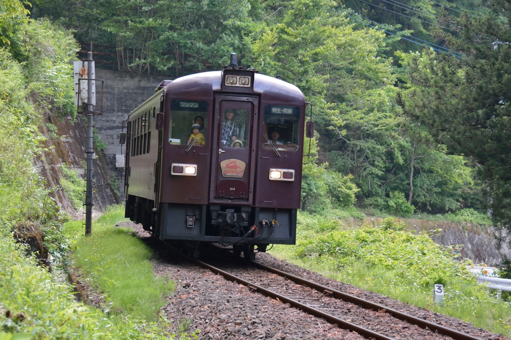 眺めがいいでちゅ！