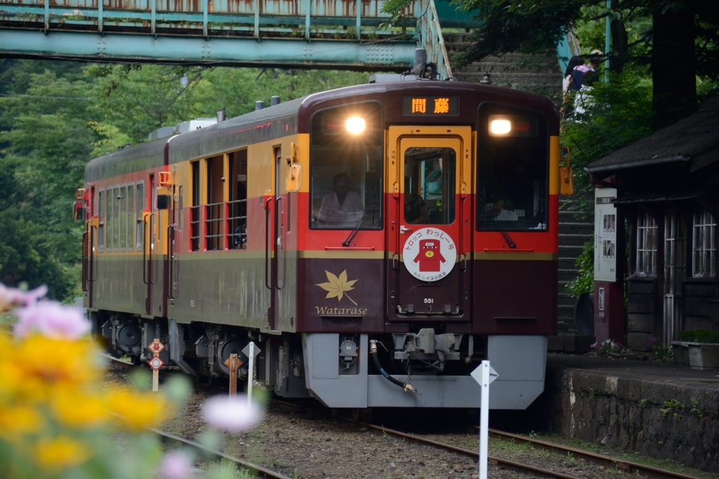 わ鐵のわっしー君