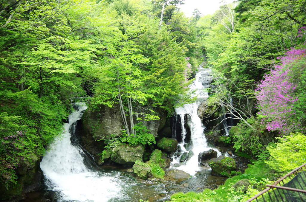 涼風