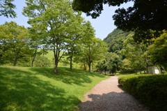 夏の思い出１
