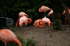 三休