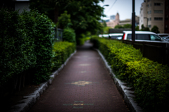side trip