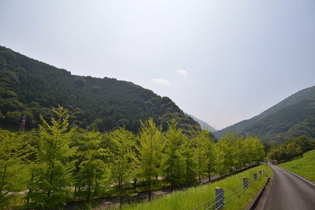 夏の思い出２
