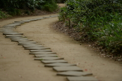 道