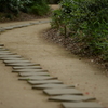 道