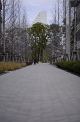 正月明け