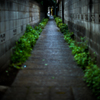 細道