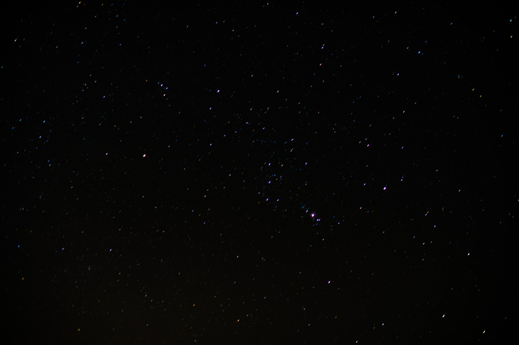 Orion