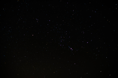 Orion