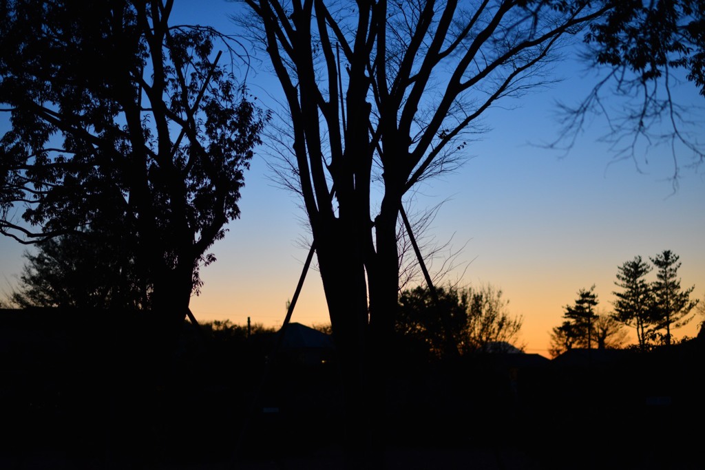 秋の夕暮れ