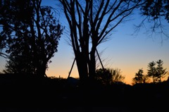 秋の夕暮れ