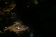 流れ
