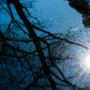 reflection