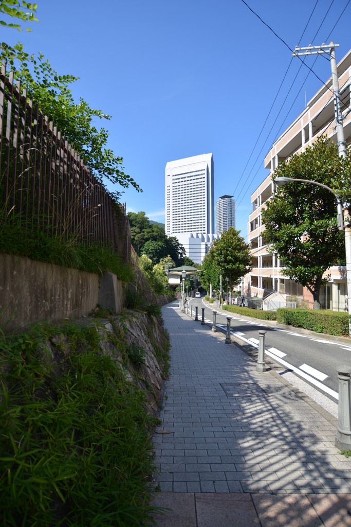 坂