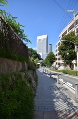 坂
