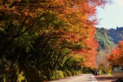 わき見運転に注意