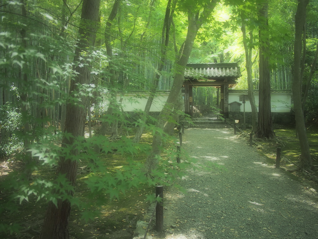 地蔵院