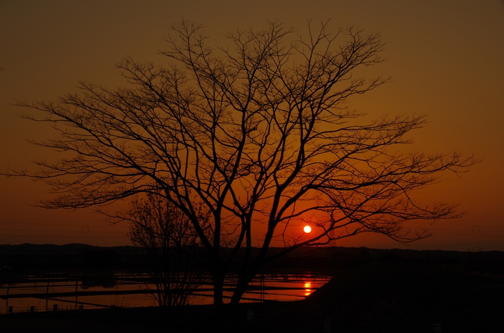 静かな夕暮れ