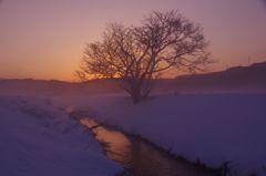 春の夜明け