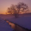 春の夜明け