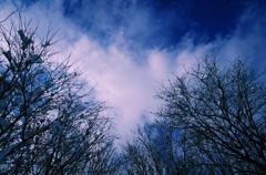 青空のゆくえ