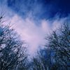 青空のゆくえ