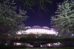 2014年春の思い出～春のビッグスワン～