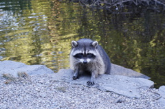 Vancouver May 4 Sat.2013