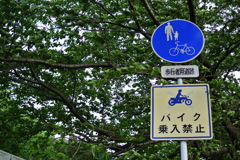 自転車優先