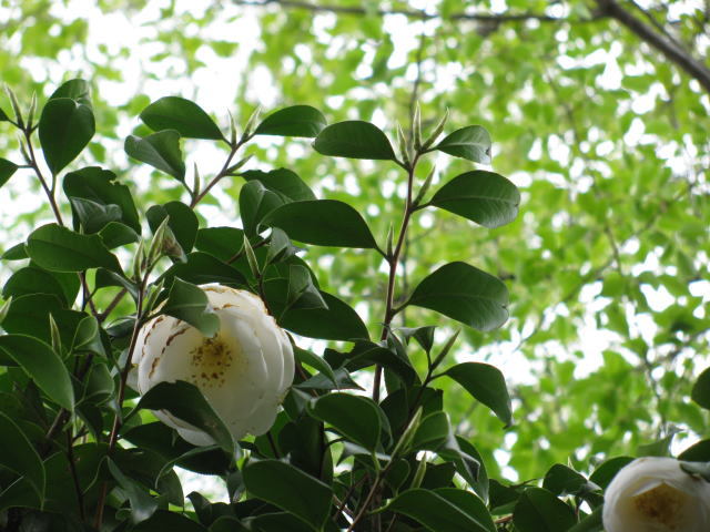 in March(5)