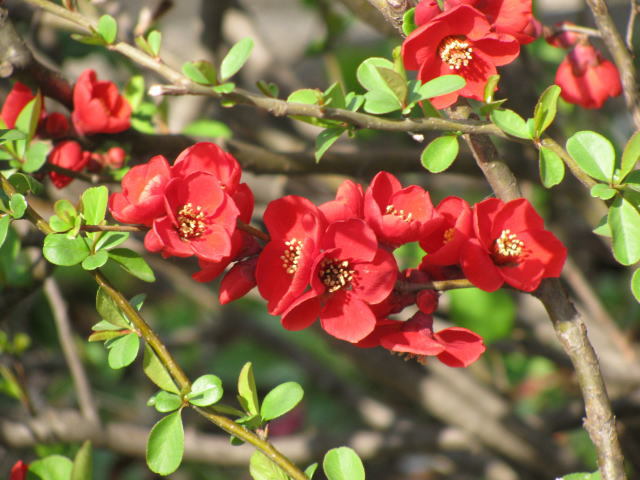 in March(2)
