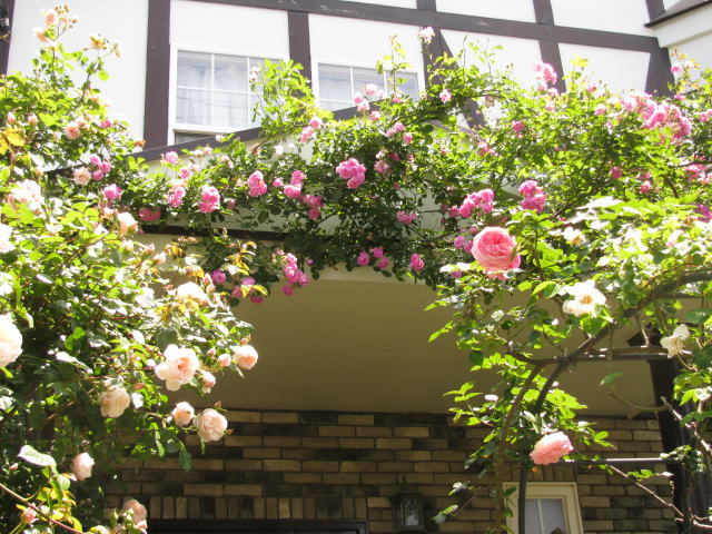 house of roses
