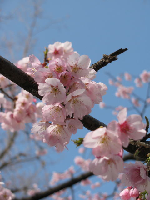 in March(3)