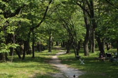 道