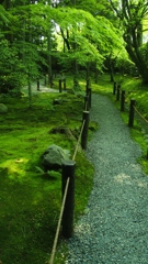 2013年5月　京都　桂春院