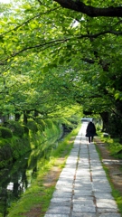 2013年5月　銀閣寺あたり