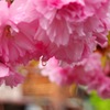 2014年5月　飛騨高山