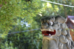 阿像