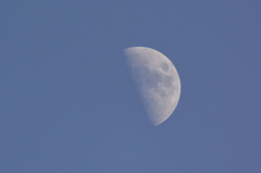 昼の九夜月