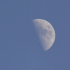 昼の九夜月