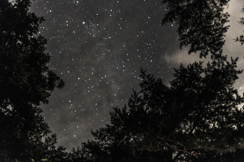 キャンプ場の星空