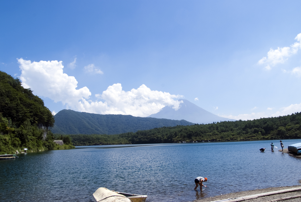 西湖湖岸